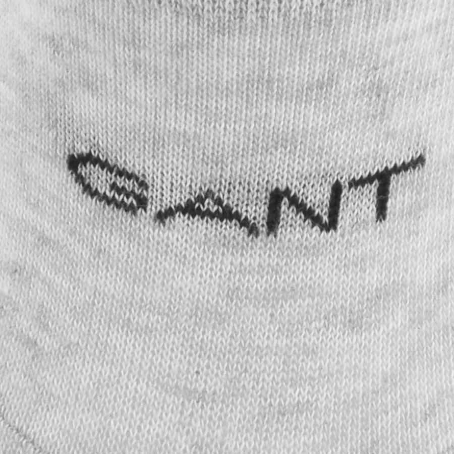 Alternative Image for ProductGant Two Pack Invisible Socks Grey3